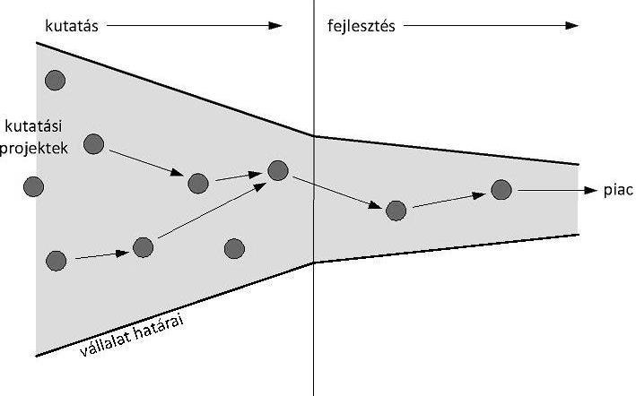 Act Sci Soc 37 (2012): 29 44 35 Ez a zárt innovációs modell 27 megköveteli, hogy a szervezetben dolgozók hozzák létre/fejlesszék ki az új terméket vagy szolgáltatást, melyet piacra szeretnének vinni.