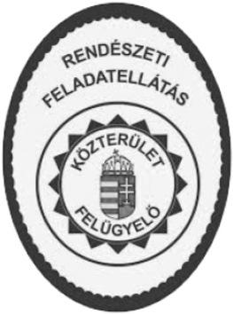 2019 április 8.oldal Balatonföldvári Önkormányzati Hírlevél Tisztelt Balatonföldvári Lakosok, Tisztelt Üdülõtulajdonosok! Ezúton tájékoztatjuk Önöket, hogy településünk fejlõdése érdekében 2019.