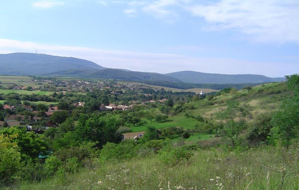 módon