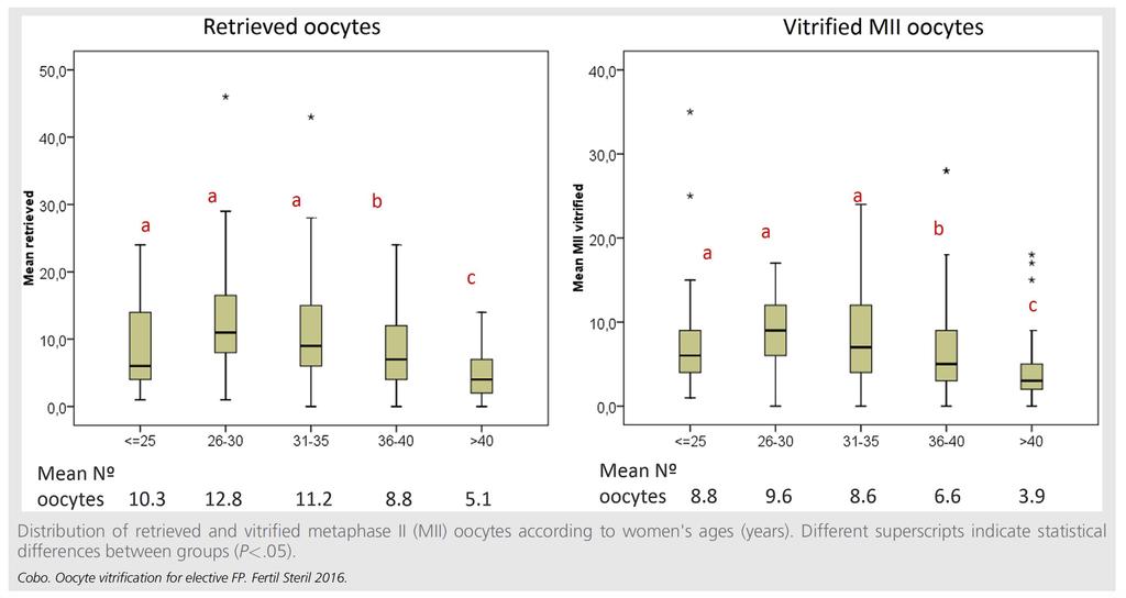 Efficiency of oocyte vitrification for fertility