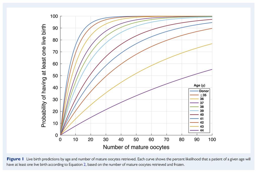 Predicting the likelihood of live birth for elective oocyte cryopreservation: