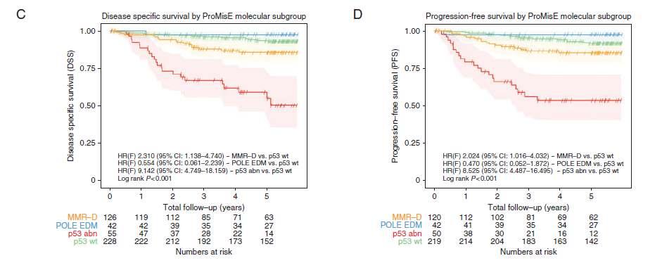 ProMisE Proactive Molecular Risk Classifier for Endometrial Cancer MLH1, MSH2, MSH6, PMS2 IHC Hypermutated NGS POLE domain POLE/Ultramutated -