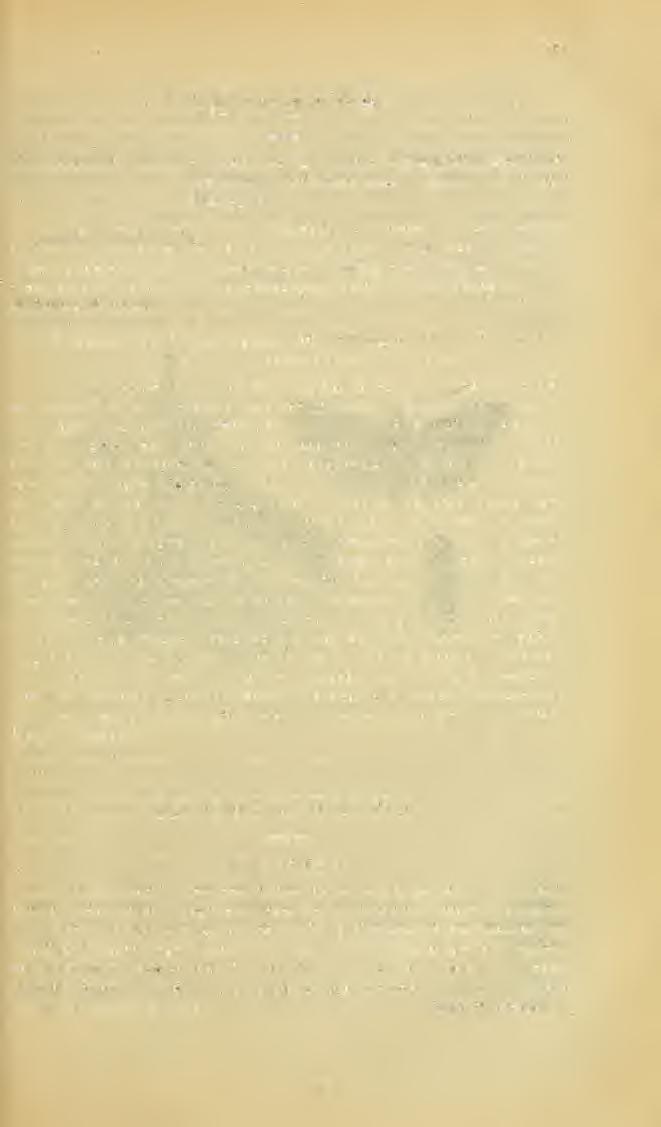 175 IRODALOM. Dr. Szaniszló Albert, A repczének egy rovarellenségérl (Cecidomya brassicae). (Mezgazdasági Szemle. III. pag. 264 266.) A ko