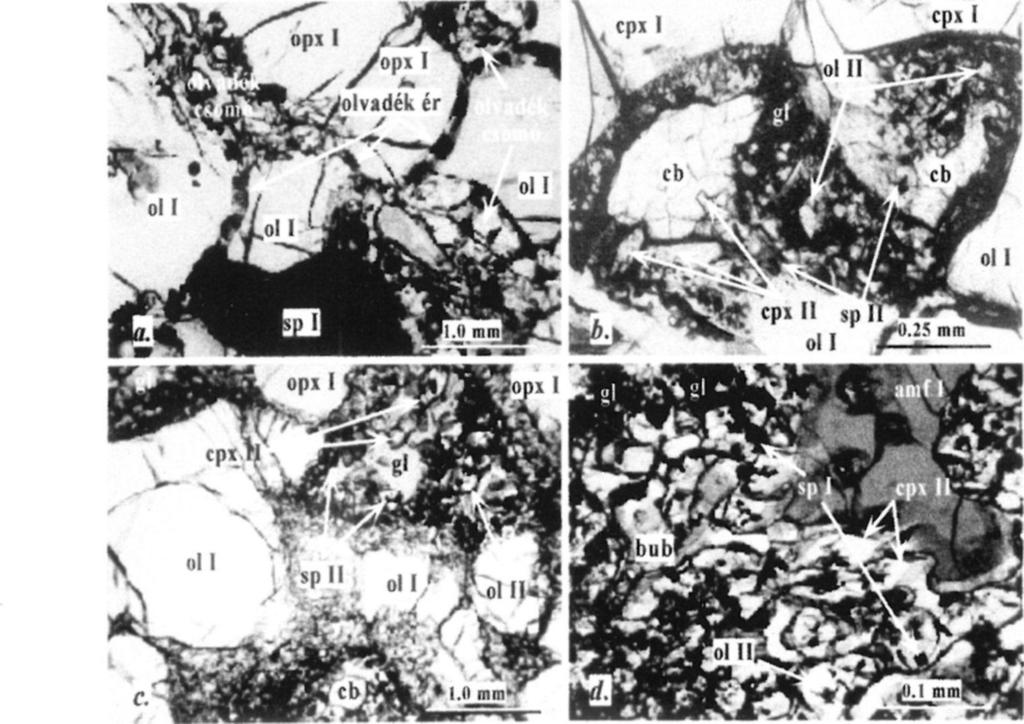 ekvigranuláris szövetű lherzolit, áteső fény, IN), d: Szabálytalan alakú, karbonátmentes szilikátolvadék-csomó rezorbeált amfibollal (amf I) (Szb52 protogranuláris szövetű spinell lherzolit, áteső