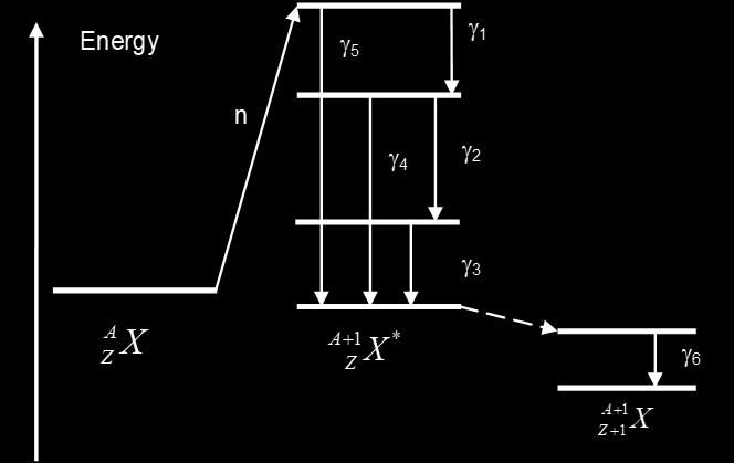 A neutron és a foton kölcsönhatása az anyaggal a) neutron (n,g) b) X-ray abszorpció elektron fotoeffektus szórás szórás Nem