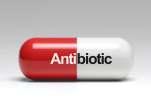 (%) 100 80 60 40 20 Water ATB n=10 0 0 20 40 60 Days after tumor inoculation * Iso Ctrl actla-4 + apd-1 Iso Ctrl actla-4 + apd-1 Ab treatment