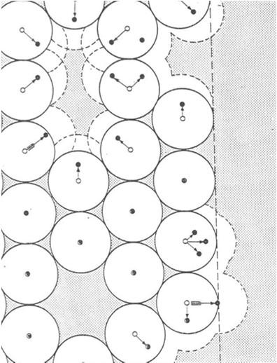 Az őz pionírokkal való szétterjedése Norvégiában (Olstad 1943 nyomán) szürke: szaporodó állomány pontok: koborló állatok megfigyelése Szétterjedés lassú penetrációval (Udvardy nyomán) a fiatal