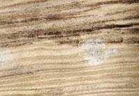 Sókicsapódás az impregnált fafelületeken A magas nyomáson impregnált faanyag hajlamos rá, hogy az impregnáláskor használt tartósító sók a fa természetes gyantatartalmával a faanyag felületén