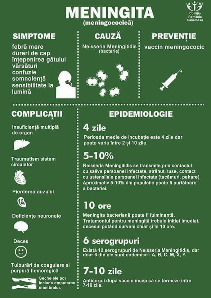 AGYHÁRTYAGYULLADÁS nagy láz fejfájás nyakmerevség hányás zavartság álmosság fényérzékenység Neisseria Meningitidis (baktérium) Többszörös szervi elégtelenség Keringési rendszer traumás sérülése