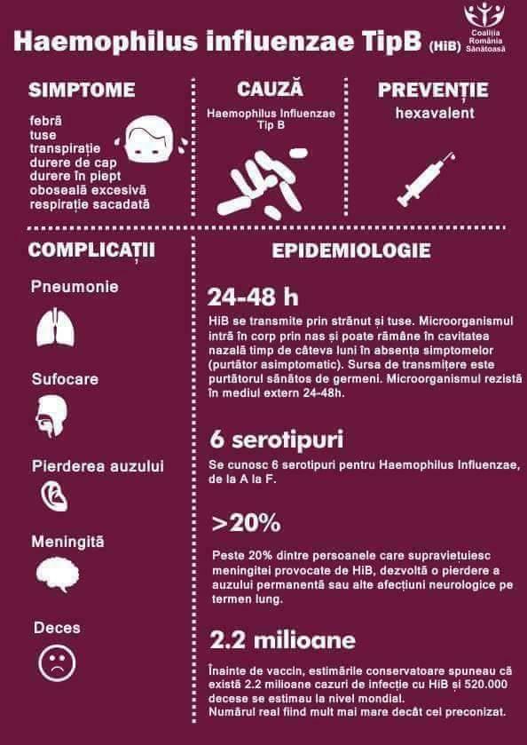 B típusú Haemophilus inﬂuenzae (HiB) láz köhögés verejtékezés fejfájás mellkasi fájdalom túlzott fáradtság szakaszos légzés B típusú Haemophilus inﬂuenzae hexavalens oltás Tüdőgyulladás Fulladás