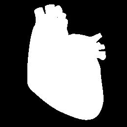 A szív-tüdő gép