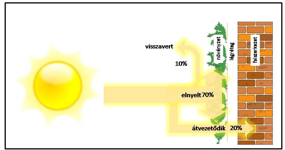 A zöldhomlokzatok növényeinek levélzete egyes felmérések szerint [8] általánosságban a beeső napsugárzás csupán 10%-át engedi át (5. ábra).