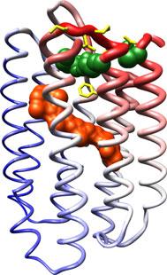 Bacteriorhodopsin extracellular region T. Lazarova et al. over all nonhydrogen atoms and 0.