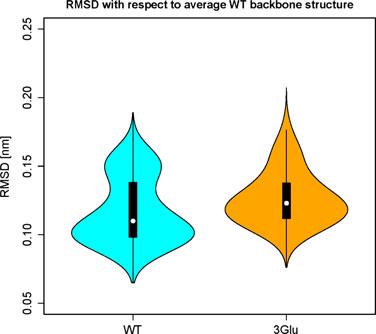 The magnitudes of atoms fluctuations along the second lowest frequency normal modes of WT and 3Glu range from 0.1 to 0.5 A.