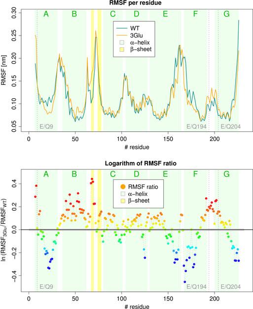 T. Lazarova et al. Bacteriorhodopsin extracellular region Fig. 6. rmsf of WT versus 3Glu mutant.