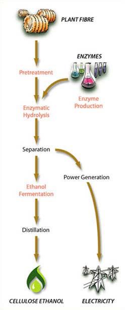 Iogen Cellulose to Ethanol Opportunity