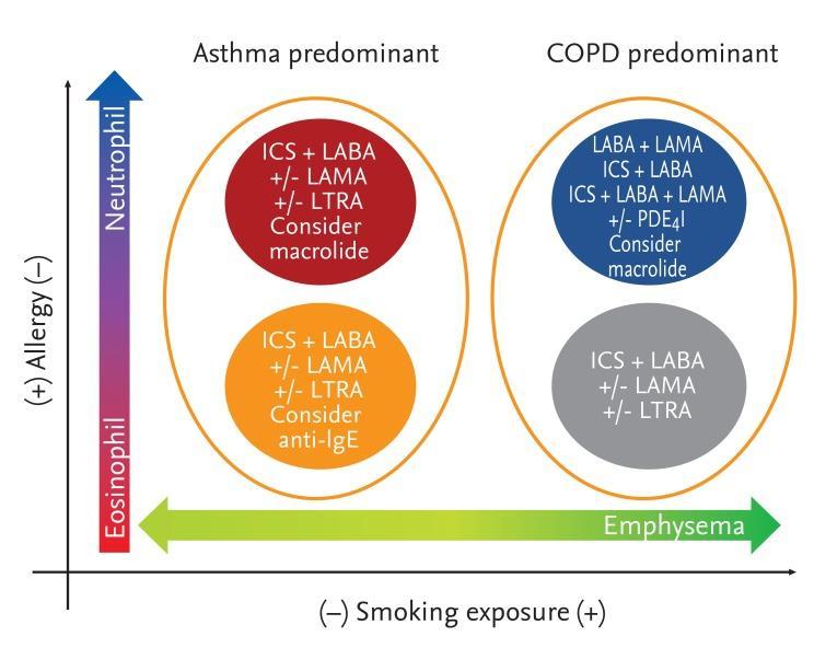 anti IL-5 Phenotype of asthma-chronic obstructive pulmonary disease
