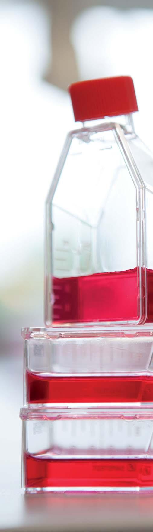 PCR & Molekularbiologie Zertifizierte Qualitäts-Produkte für Anwendungen in der PCR, Molekularbiologie &
