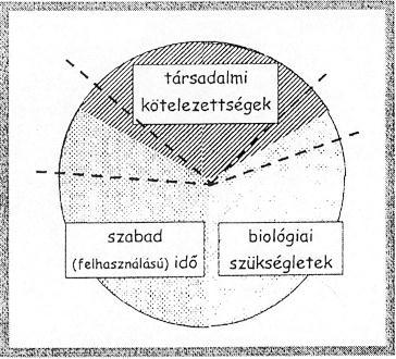 Négykézlábtól a