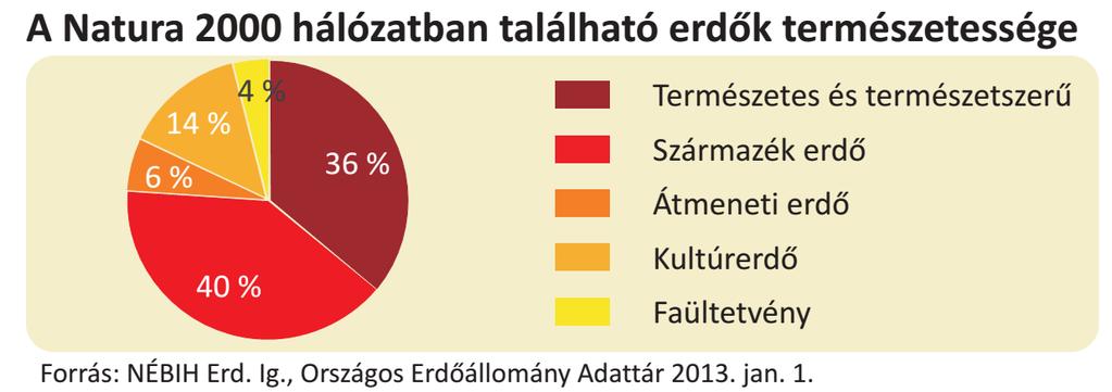 Erdők csoportosítása természetesség szerint (Erdőtv. 7.