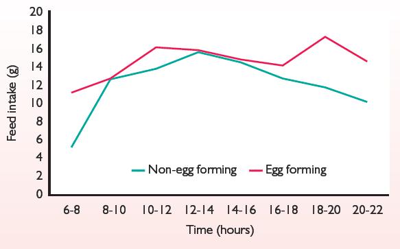 Takarmányfelvétel (g) A nyújtott tojóidőszak takarmányozása Precíziós Ca-ellátás Tojótyúkok takarmányfelvétele fény 1.