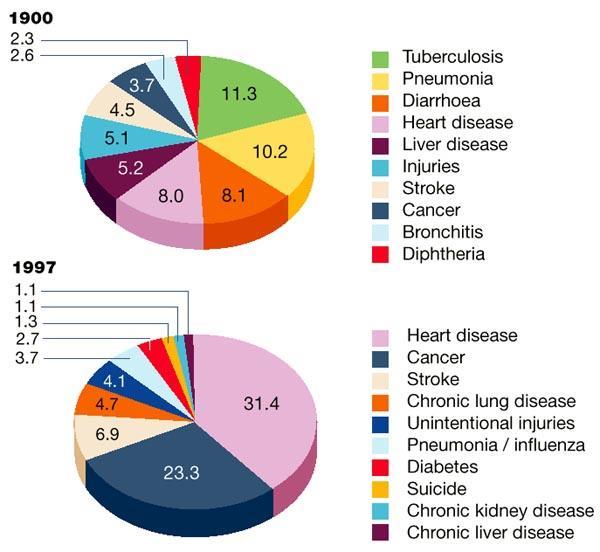 AZ IMMUNOLÓGIA JELENTŐSÉGE The ten leading causes of death in the United