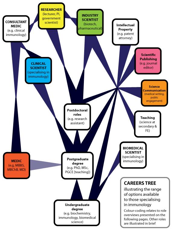 KARRIER LEHETŐSÉG IMMUNOLÓGUSOKNAK British Society for