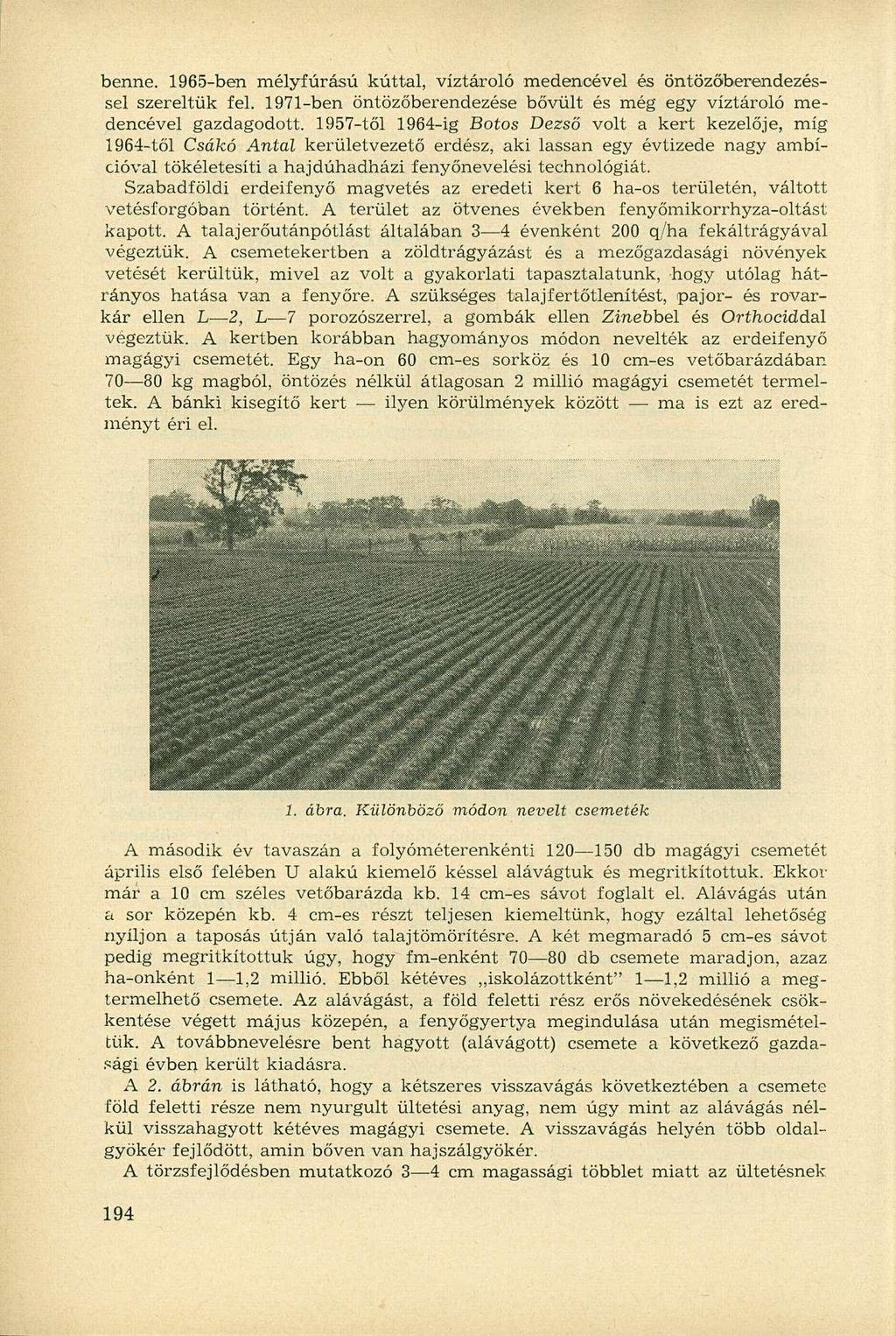 benne. 1965-ben mélyfúrású kúttal, víztároló medencével és öntözőberendezéssel szereltük fel. 1971-ben öntözőberendezése bővült és még egy víztároló medencével gazdagodott.
