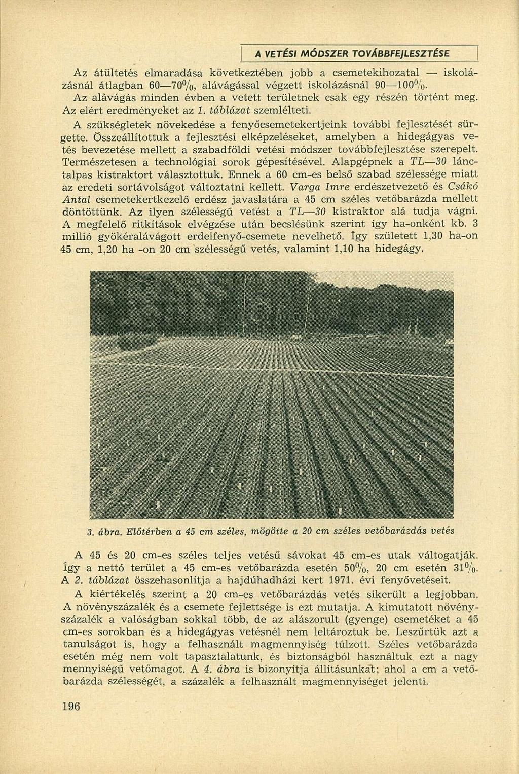 Az átültetés elmaradása következtében jobb a csemetekihozatal iskolázásnál átlagban 60 70%, alávágással végzett iskolázásnál 90 100%.