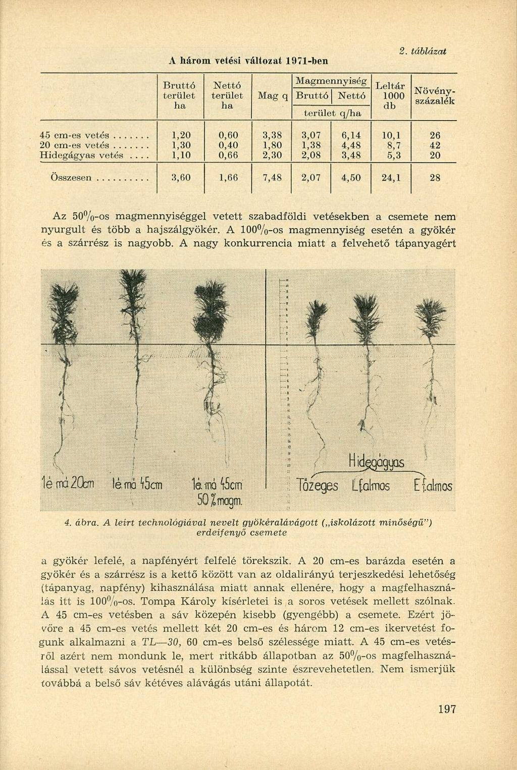 A három vetési változat 1971-ben Magmennyiség Bruttó Nettó terület terület Mag q Bruttó Nettó ha ha terület q/ha 2. táblázat Leltár Növény- 1000 db százalék 20 cm-es vetés Hidegágyas vetés.