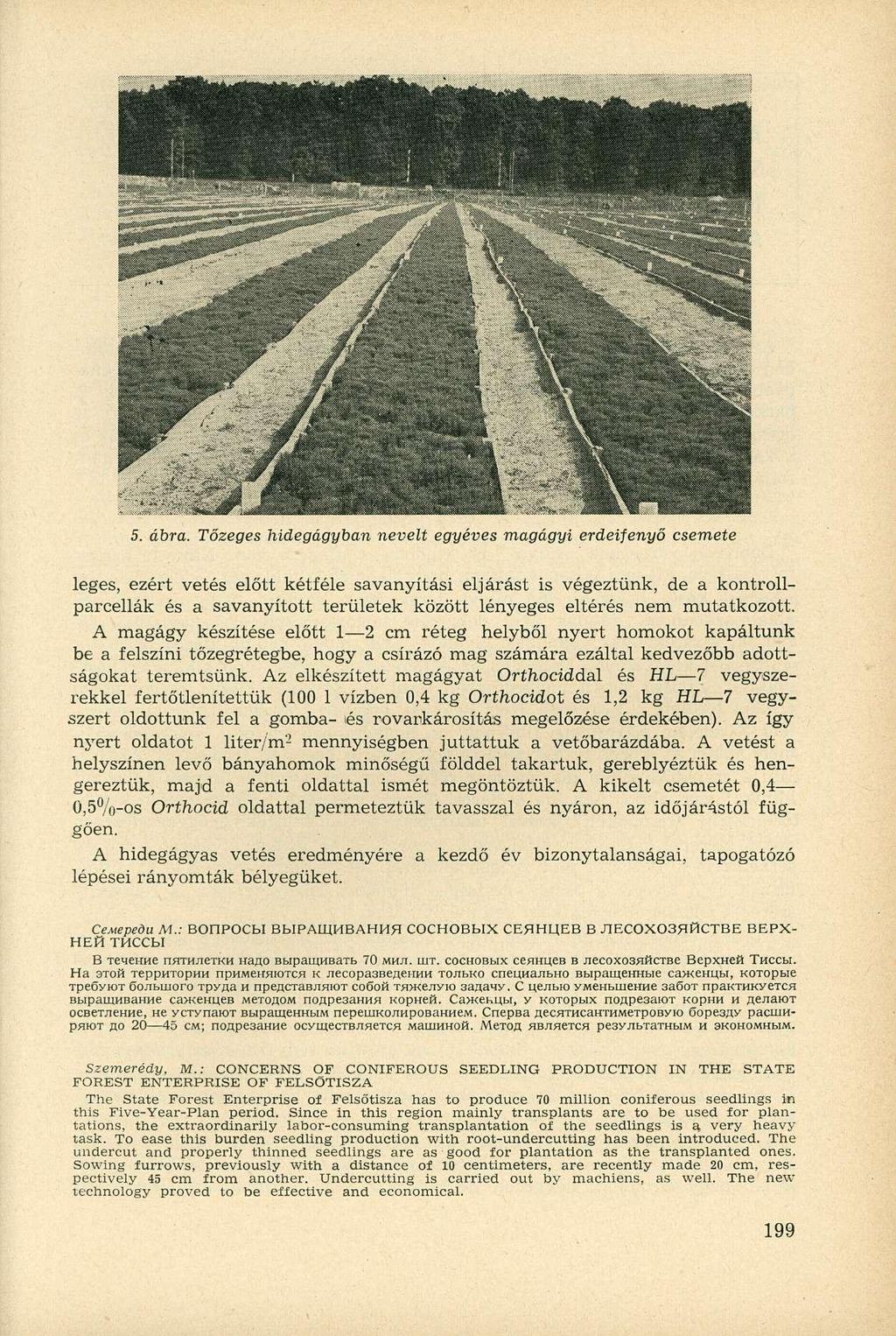 5. ábra.