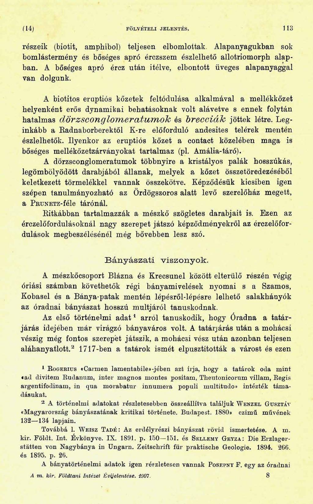( 14) FÖLVÉTELI JELENTÉS. 113 részeik (biotit, amphibol) teljesen elbomlottak. Alapanyagukban sok bomlástermény és bőséges apró érczszem észlelhető allotriomorph alapban.