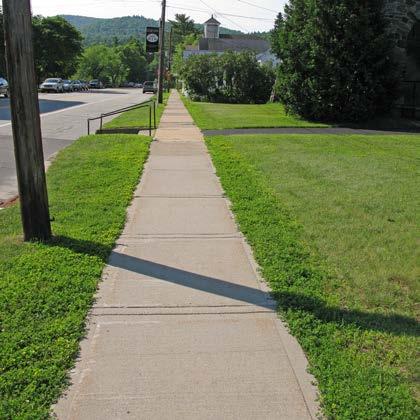 of Curb Cuts: 1 Residential 3 Non-residential Density of Curb Cuts: 41 per mile Notes: Sidewalks at Court St end of segment have been replaced more recently and are in better condition than the
