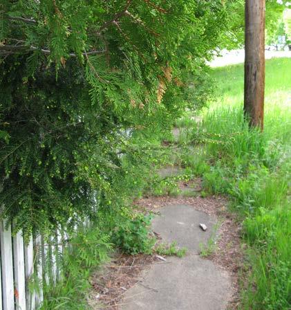 of Curb Cuts: 3 Residential 1 Non-residential Density of Curb Cuts: 43 per mile Notes: This section of sidewalk is disappearing.