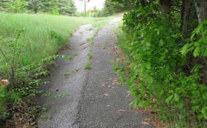 Moderate High # of Curb Cuts: 0 Residential 0 Non-residential Density of Curb Cuts: 0 per mile Looking south from the rectory driveway Notes: This section of sidewalk is narrow, overgrown and