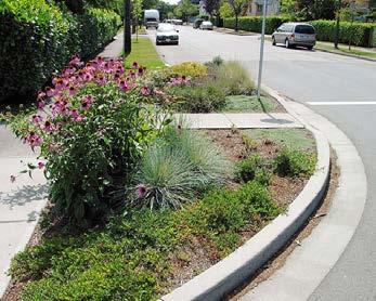 Curb ramps at pedestrian crossings are mandated by federal law when sidewalks are not flush with the street.