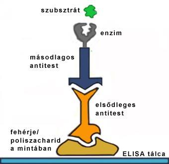 anyagok, és a keverékekben előforduló, nagyon hasonló összetételű anyagokat képes megkülönböztetni, akár faji eredetre pontosan.