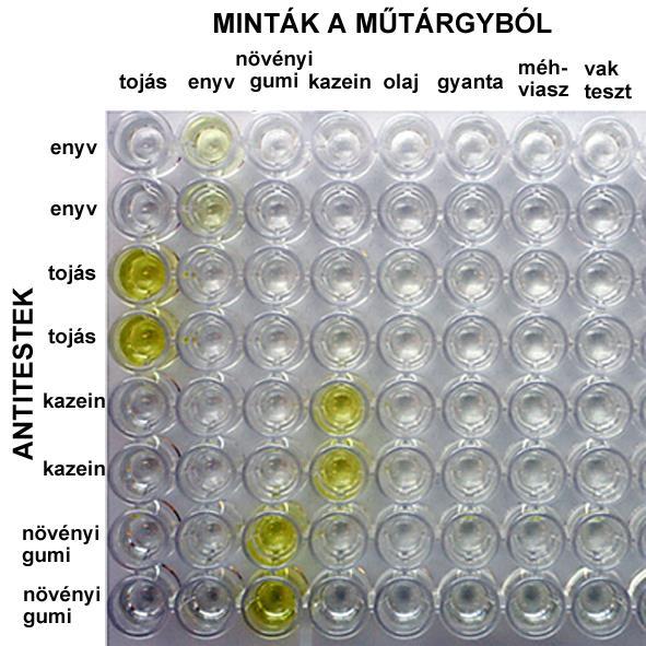 kollagén, ovalbumin, kazein, növényi gumi stb.) elsődleges, és másodlagos antitesteivel reagáltatnak.