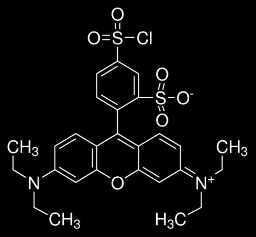 Lissamine Rhodamine Sulfonyl Chloride Más nevek: Sulforodamine B acid chloride CAS szám: 62796-29-6 Képlete: C 27 H 29 ClN 2 O 6 S 2 Molekulatömege:577,11 g/mol Fizikai megjelenése: vörös oldatban