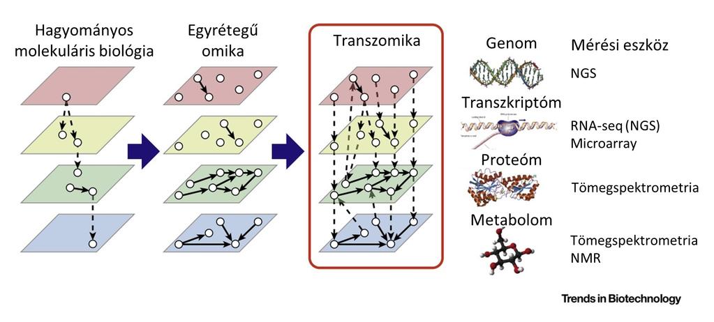 Ezt a megközelítést nevezik transzomikai elemzésnek (1. ábra), ahol a fenotipikus viselkedés megértését az egyes rendszerszintű adatszintek közötti összefüggések feltárása segíti [Yugi és mtsai 2016].