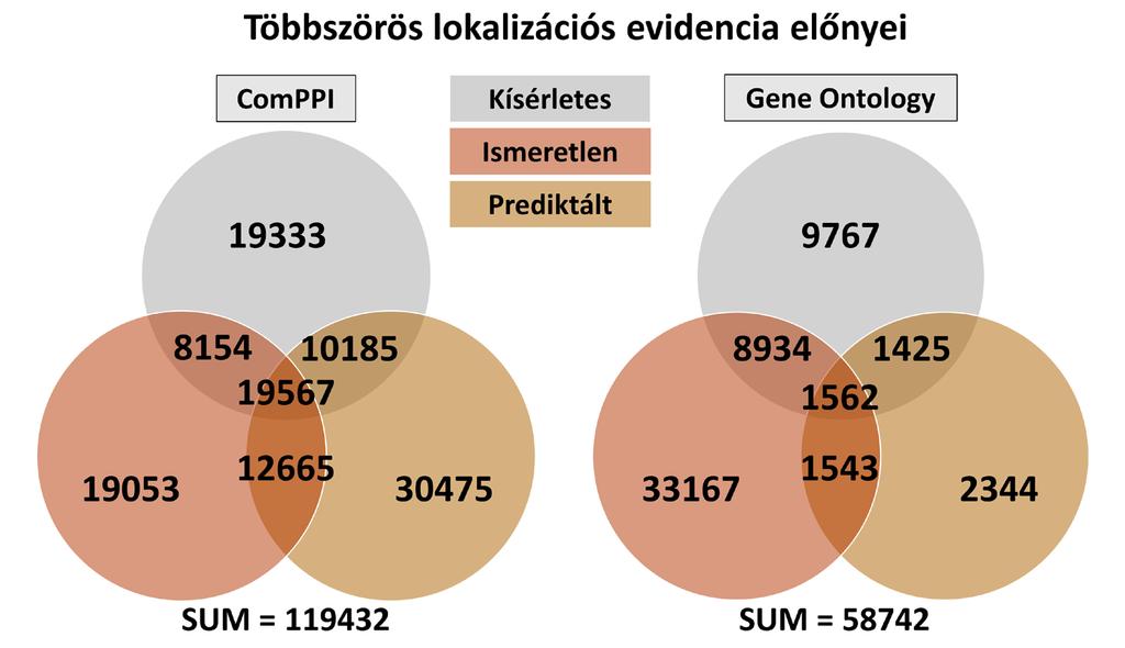 (-> folytatás az előző oldalról) Az ábra felső részén egy példát mutatunk be a Gene Ontology [The Gene Ontology Consortium 2013] szubcelluláris lokalizációs nevezéktan redundanciájára.