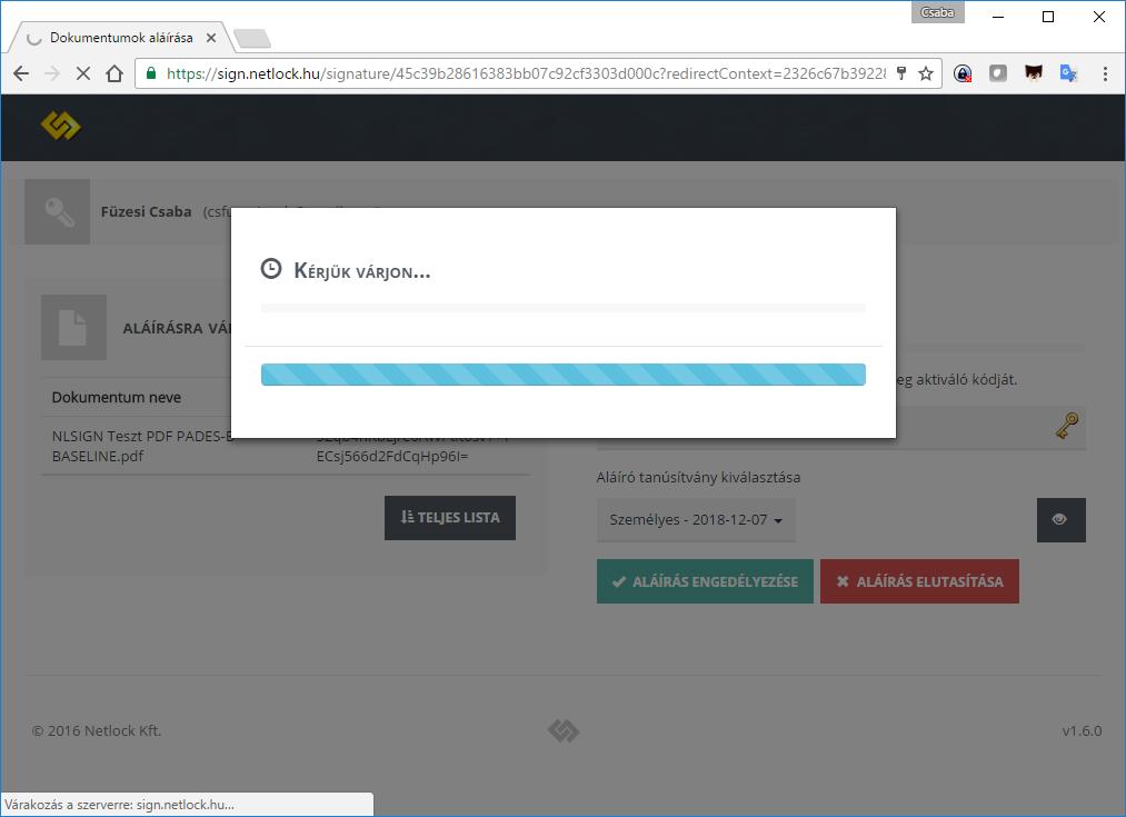A jelszó megadását és az Aláírás engedélyezése nyomógomb megnyomását követően a NETLOCK SIGN rendszer