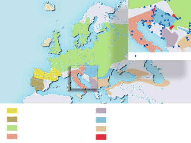 Mindentudás Egyeteme Mintavételi helyek A tarajos gôte fajcsoportjának elterjedése Európában és Európa délkeleti részén.