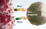 Anti PD-1/PD-L1 kezelés R/M fej-nyak