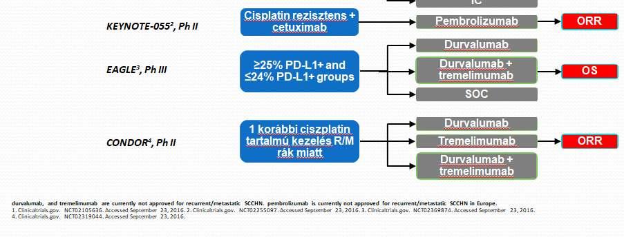 nivolumab,(emea2017.