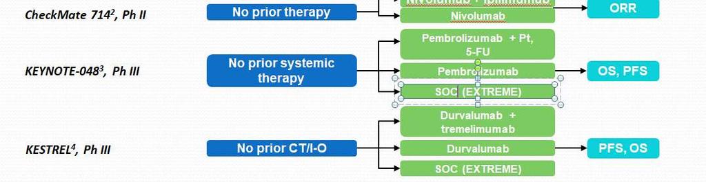 Anti PD-1/PD-L1 1.