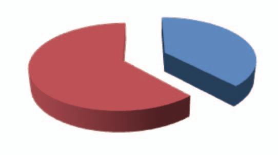 73% 37 % Évolution de l'effectif de CIRA 63 % 27% Effectif Siège et Filiales 203 Effectif Chantiers 347 Un Chiffre d Affaires de 20,05 milliards de francs CFA, soit environ 30,57 millions d euros en