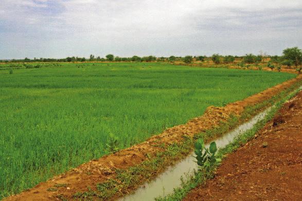 RÉPUBLIQUE DU BURUNDI DU BURUNDI Surveillance et contrôle des travaux d aménagement hydroagricole des marais de Rugamura, Kabuyenge et Nyavyamo, Bloc A.