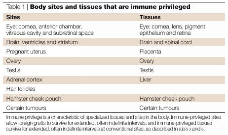 Immune privilege Certain sites of the human body have immune privilege, meaning they are able to tolerate the introduction of antigens without eliciting an inflammatory immune response.