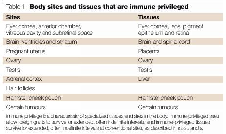 Immune privilege Certain sites of the human body have immune privilege, meaning they are able to tolerate the introduction of antigens without eliciting an inflammatory immune response.